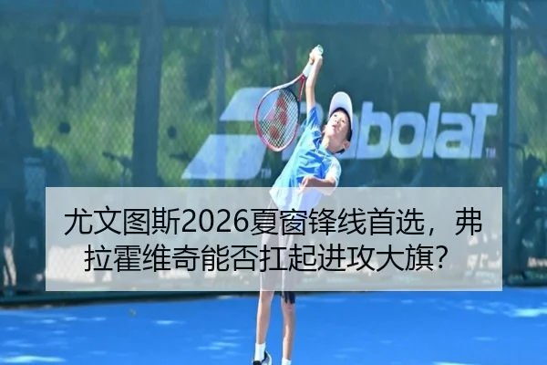 尤文图斯2026夏窗锋线首选，弗拉霍维奇能否扛起进攻大旗？